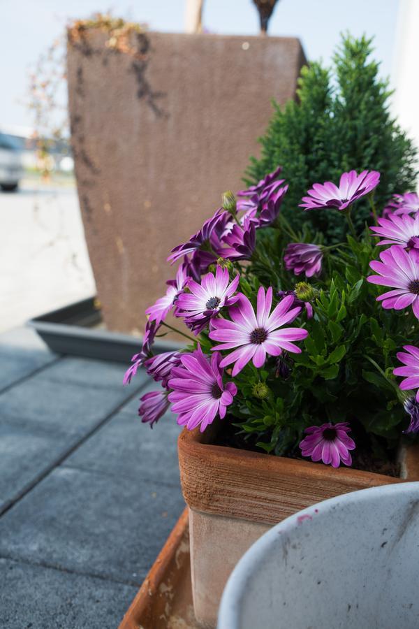 Hotel Traumfabrik Büttelborn Екстериор снимка